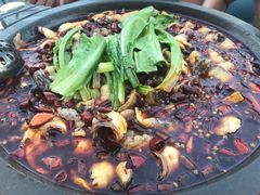 -都江堰石锅鱼
