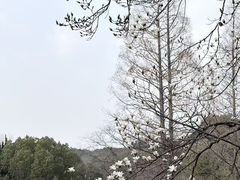 -白马涧龙池景区