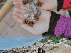 -广东惠东海龟国家级自然保护区