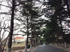 -八大关景区