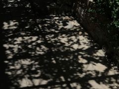 -玉水寨丽江源餐厅