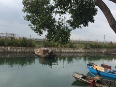 -小陆莲花蟹园农家乐(莲花岛店)