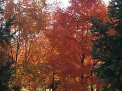 -长春世界雕塑园冰雪艺术天地
