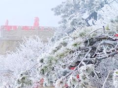 -泰山风景名胜区