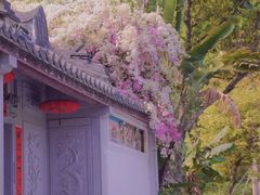 -深圳国际园林花卉博览园