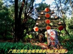 -北海金海湾红树林生态旅游区