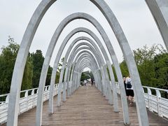 -大兴滨河森林公园