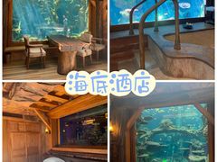 -长鹿旅游休博园