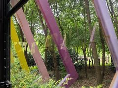 -合肥滨湖国家森林公园