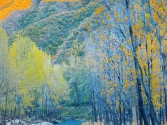 -大岭沟猕猴桃谷风景区