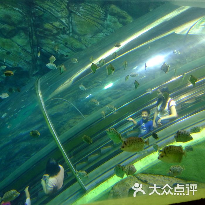 上海海洋水族館