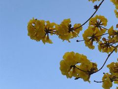 -那琴半岛地质海洋公园