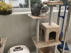 -1013 PET SHOP 宠物商店(近铁城市广场店)