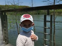 -昆山城市生态森林公园