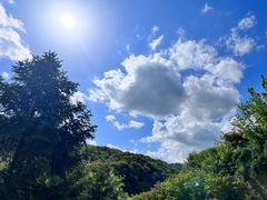 -九如山休闲旅游度假区