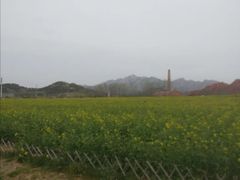 -西海岸生态观光园