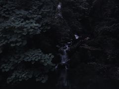 -藏龙百瀑风景区