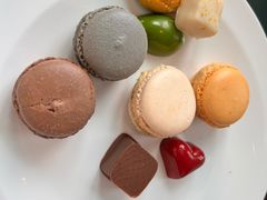 -Social 秀西餐厅-长沙瑞吉酒店(运达店)