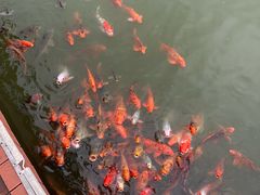 -春晖园度假酒店温泉