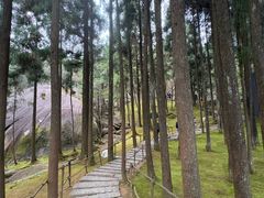 -玉苍山国家森林公园