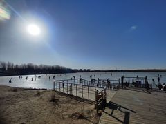 -丁香湖公园