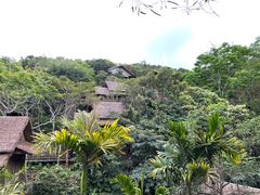 -海南槟榔谷黎苗文化旅游区