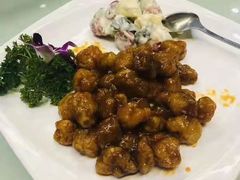 -宝园酒家(美林M·LIVE天地东座店)