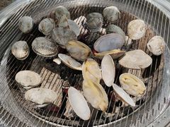-泰白海鲜烧烤大全