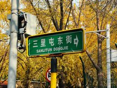 -三里屯东五街银杏大道