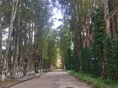 -广东外语外贸大学(白云山校区)