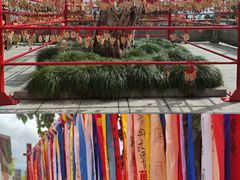 -崇圣寺三塔文化旅游区