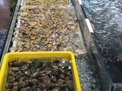 -旺角小渔村(幸福中路店)