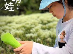 -天津东丽湖风景区