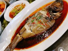 清蒸鲽鱼-新疆巴州金丝特餐厅(大钟寺店)