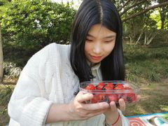 -杭州城北体育公园