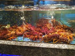 -乾隆美食·本帮菜(黄河路店)