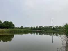 -永定河休闲森林公园