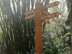 -滴水岩森林公园