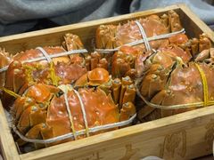 -黄记大闸蟹专卖店·活蟹·醉蟹