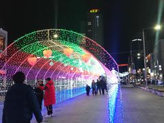 -古来思鱼饼