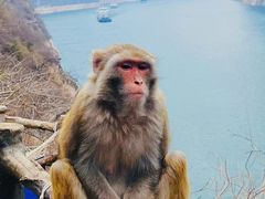 -白帝城·瞿塘峡景区