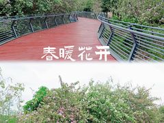 -怡海公园(桂城街道)