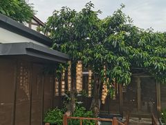 -磁器口古镇