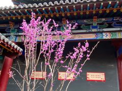 -碑林公园