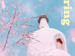 -北海公园