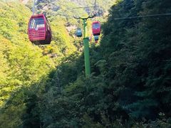 -王顺山国家森林公园