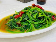 虾耙子炒菠菜-新洪记·丽久饭店(铁西店)
