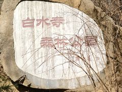 -白水寺森林公园