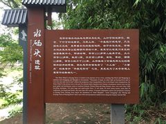 -恩阳古镇