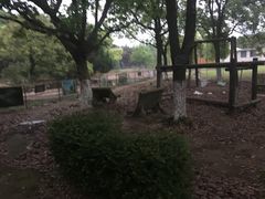 -长兴岛郊野公园农场食堂